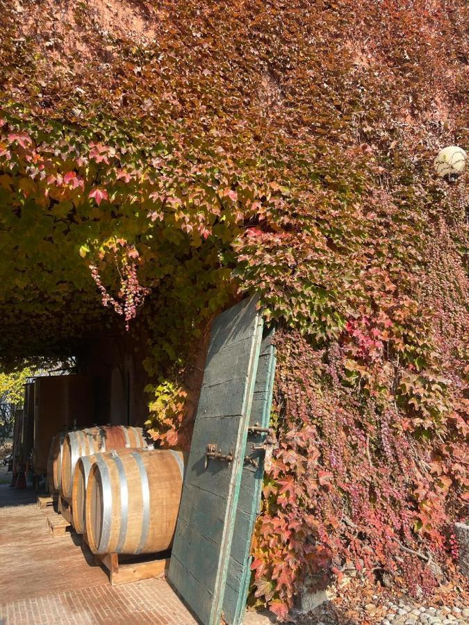 Tenuta Pizzone Wine Resort Rivanazzano Terme Εξωτερικό φωτογραφία